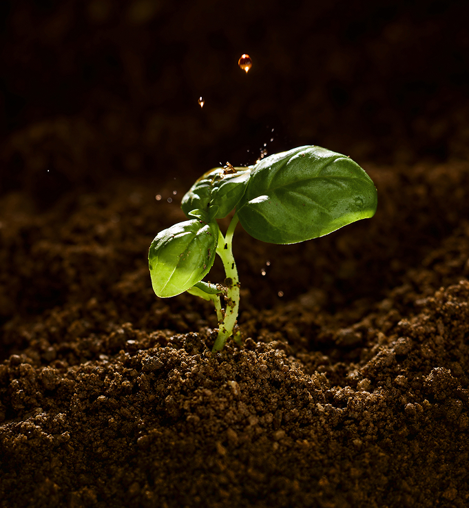 PCLM soil restoration